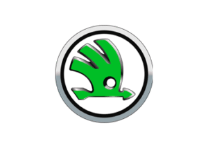 Masini & Auto Rulate Second Hand Skoda